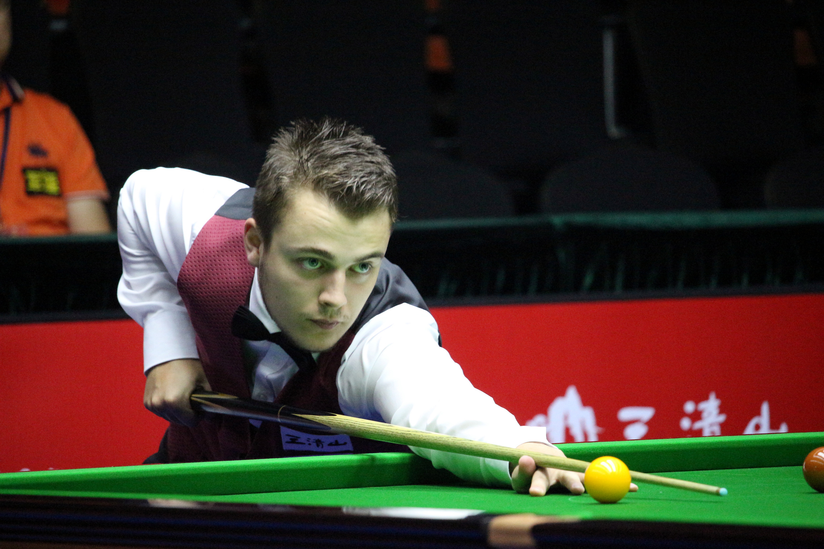 职业生涯的 职业生涯的