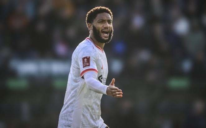 为职业球员 为职业球员